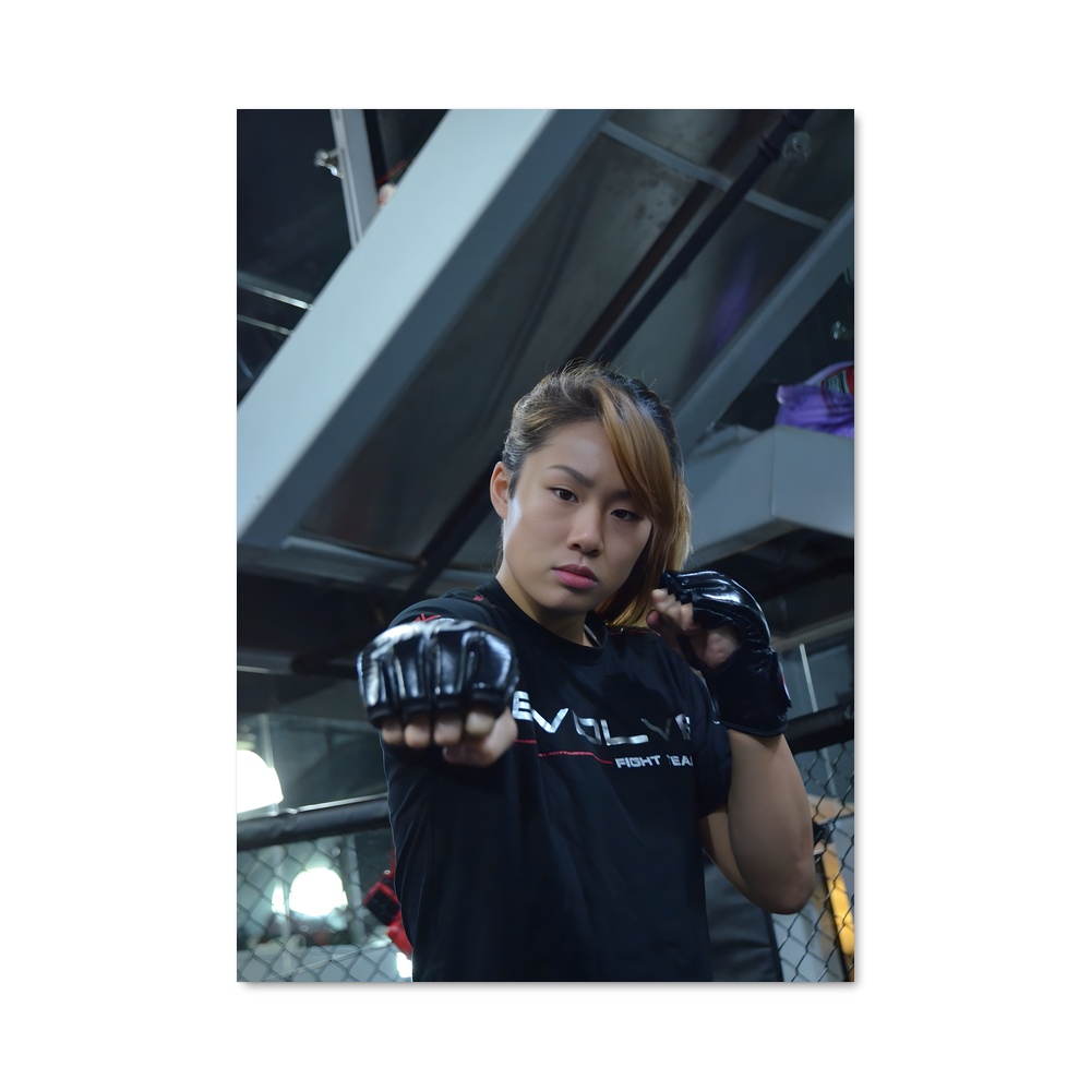 Poster Gloire dans le Ring – affiche MMA